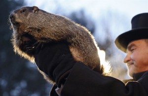 Punxsutawney Phil gives his forecast this morning of six more weeks of winter.  (AP photo) 